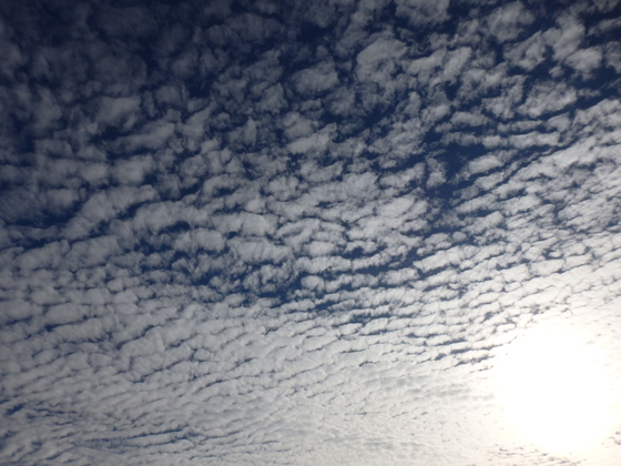b0289815_14414715.jpg