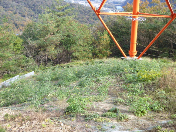 d0170615_1727586.jpg
