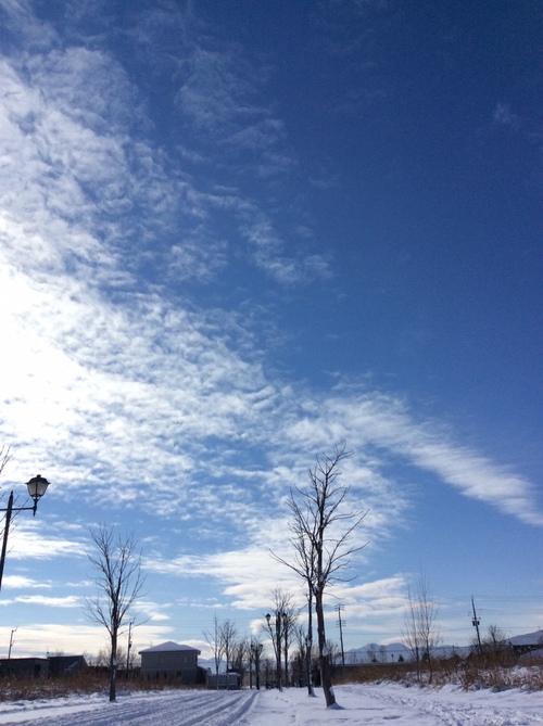 e0052716_10263257.jpg