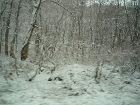 c0189218_19305861.jpg