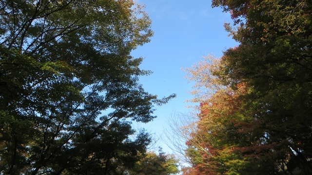 c0280322_23311563.jpg