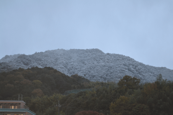 b0165233_10211443.gif
