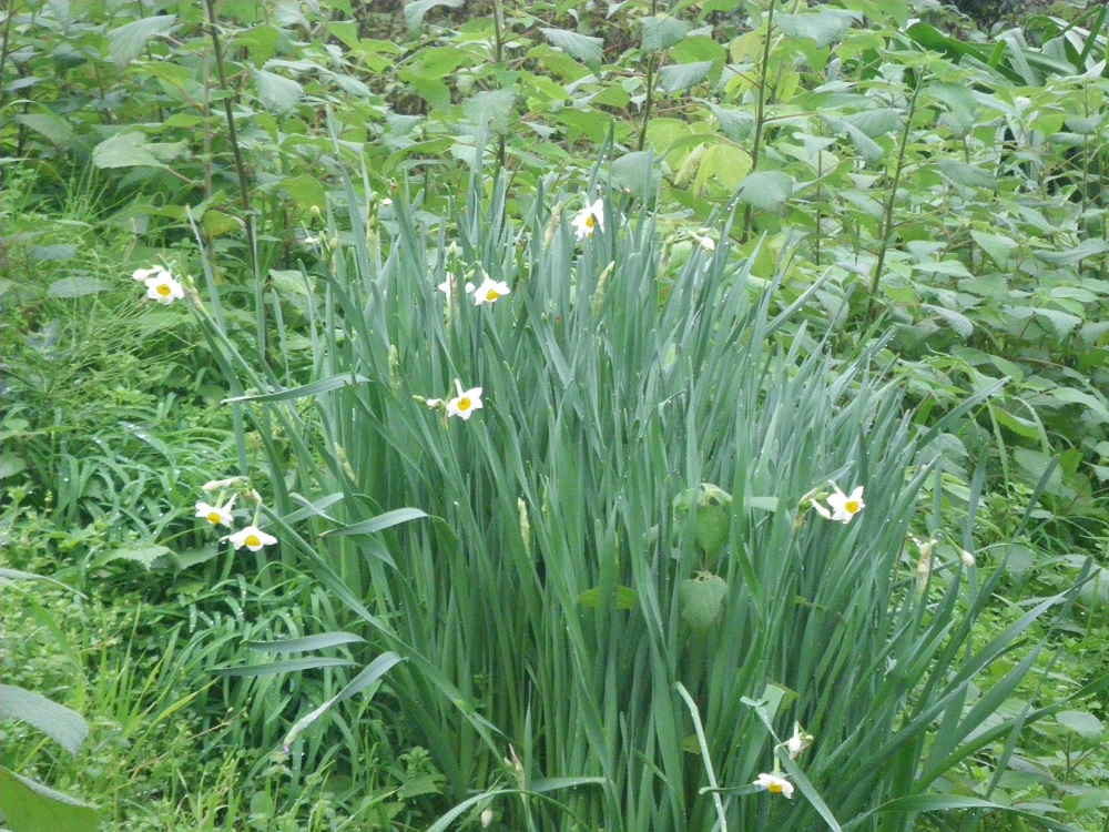 c0033636_0455610.jpg