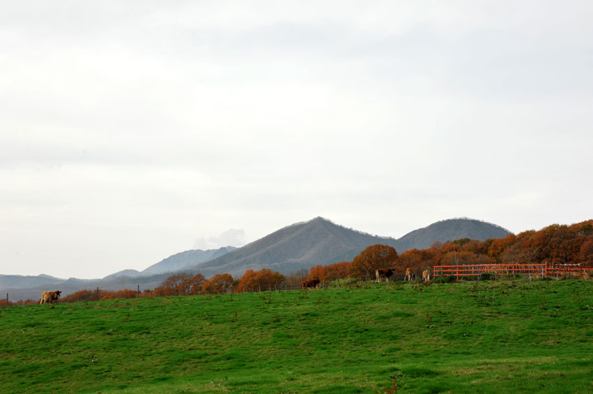 b0075541_1146027.jpg