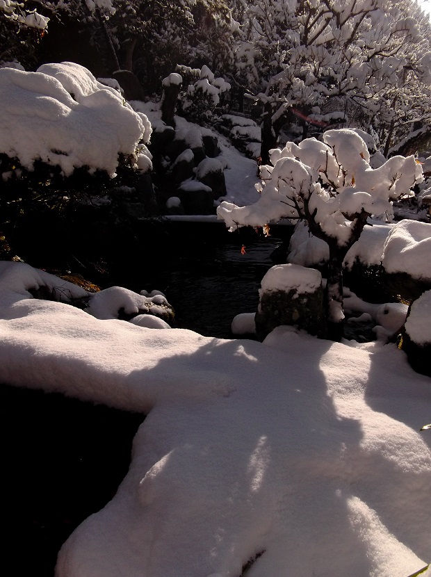 e0193247_19245522.jpg