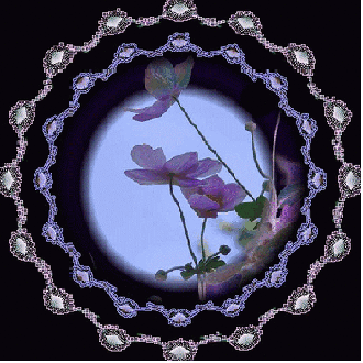 b0133752_11522642.gif