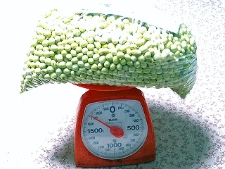 d0031853_03090832.jpg