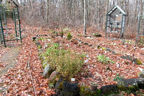 e0088260_21363543.jpg