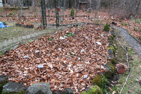 e0088260_21395276.jpg