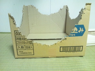 c0248067_93726.jpg