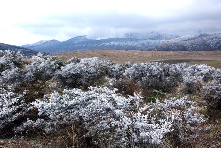 c0248473_16112151.jpg