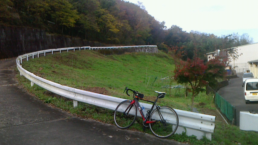 f0131183_12595422.jpg