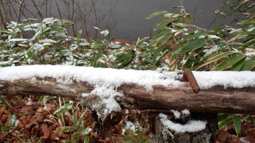 a0130586_17591886.jpg