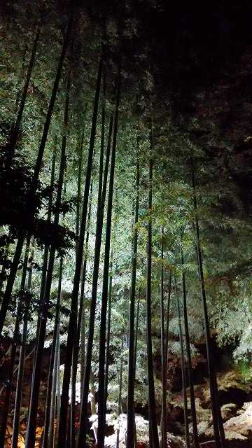 e0123587_21241960.jpg