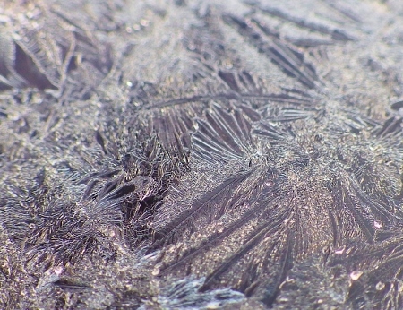 a0125598_21244540.jpg