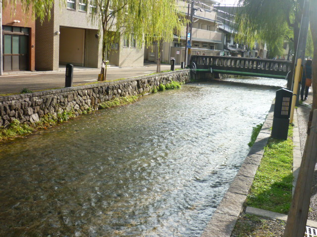 e0326699_17295870.jpg