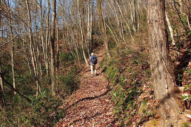 e0137200_12481824.jpg
