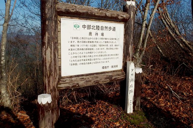 e0137200_12564441.jpg
