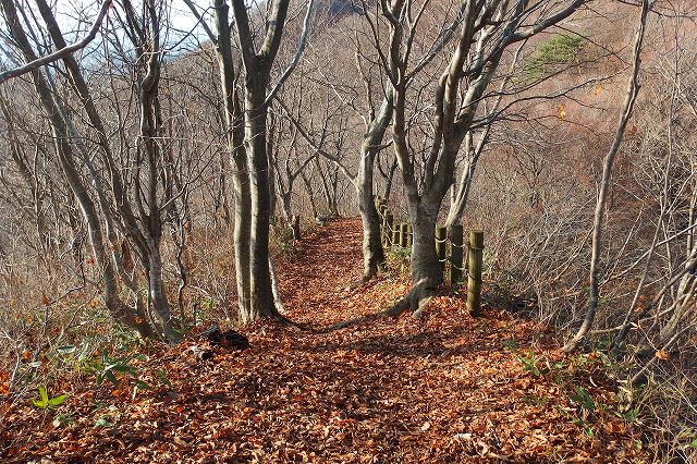 e0137200_12565797.jpg