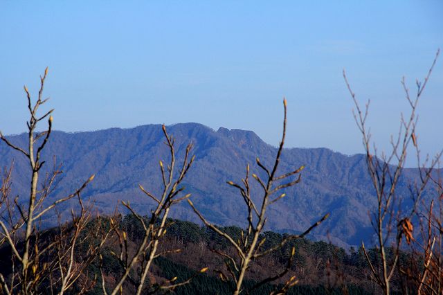 e0137200_1312878.jpg