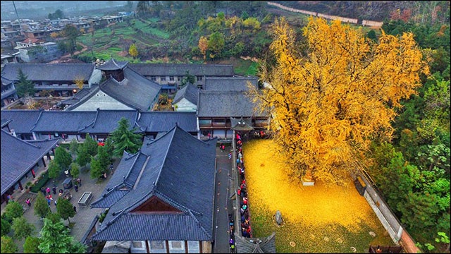 c0072801_15213776.jpg