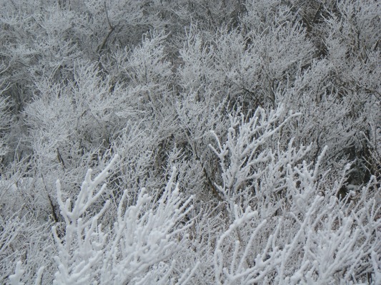 f0187402_2020102.jpg