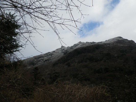 f0187402_20202136.jpg