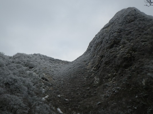 f0187402_20205523.jpg