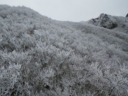 f0187402_20213939.jpg