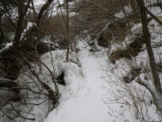 f0187402_2021514.jpg