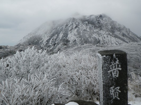 f0187402_2022158.jpg