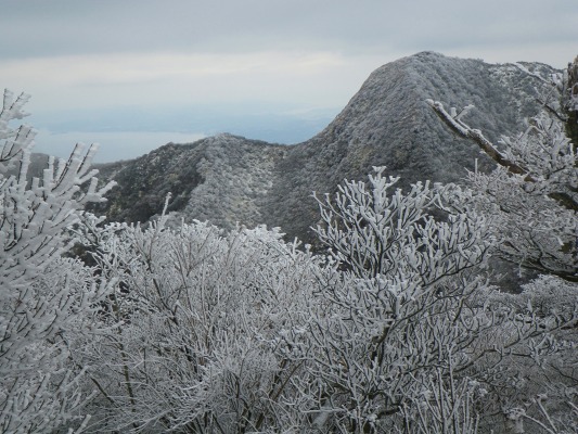 f0187402_20222684.jpg