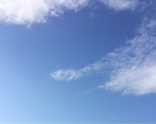 b0349003_10080991.jpg