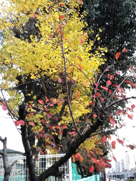 e0083517_03110247.jpg