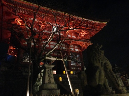 b0004229_20230929.jpeg