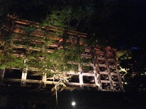 b0004229_20505105.jpeg
