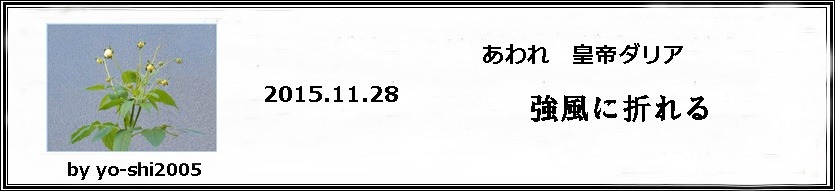 e0033229_17435192.jpg