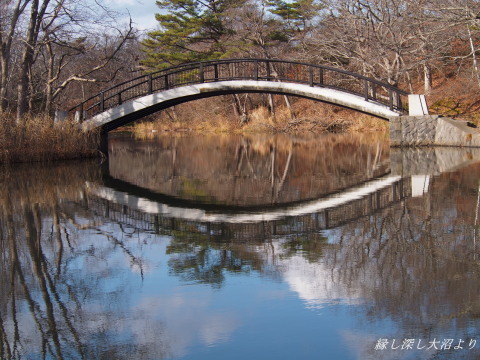 b0343934_21292938.jpg