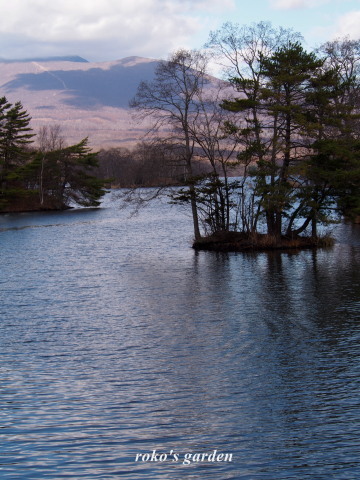 b0343934_21295636.jpg