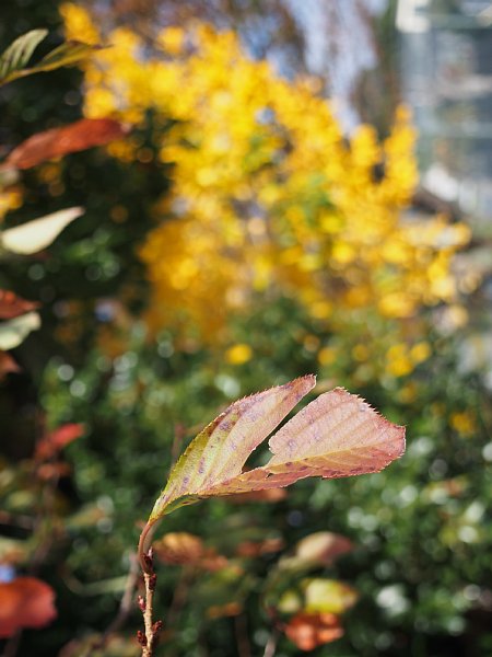 b0341140_2135245.jpg