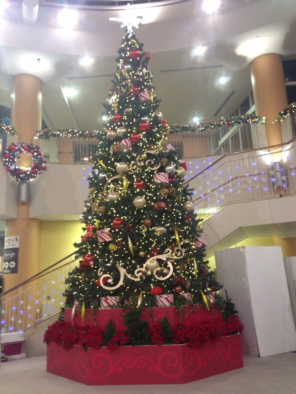 d0285540_19034339.jpeg