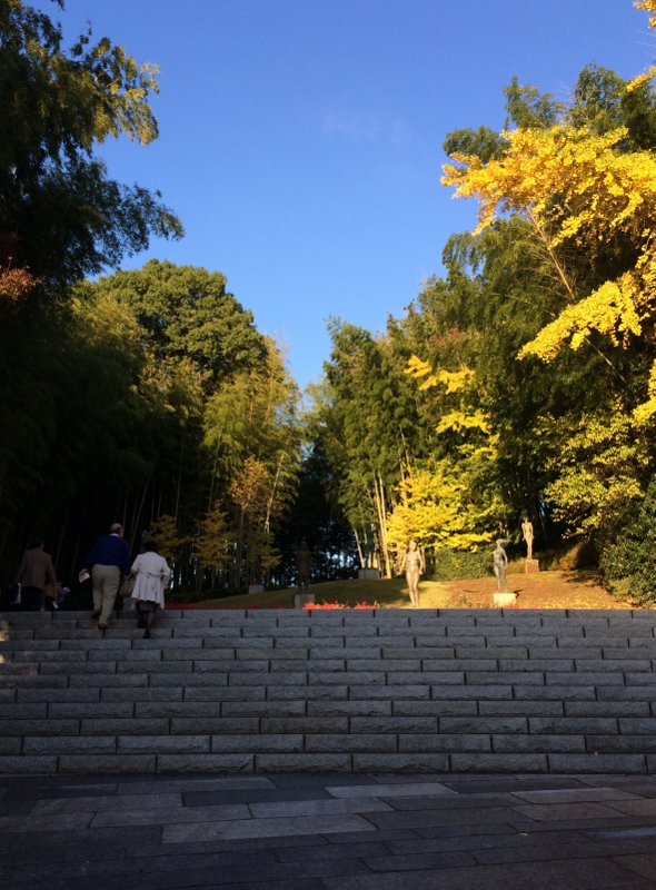 d0182744_1423279.jpg