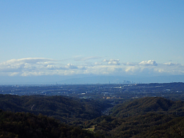 f0214649_1555262.jpg