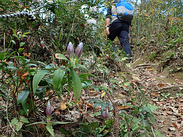 f0214649_232111.jpg