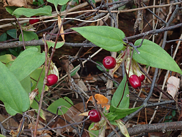 f0214649_238630.jpg