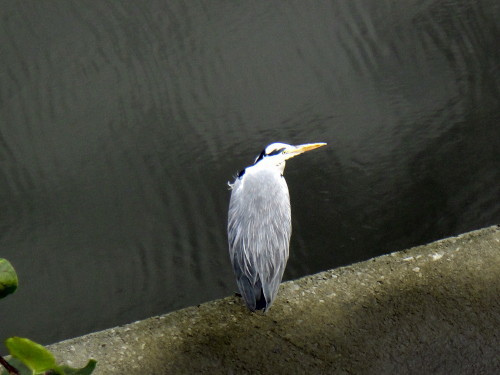 c0179351_18113364.jpg