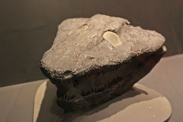 e0294253_20433249.jpg