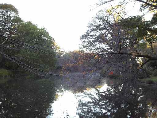 f0055956_1075034.jpg