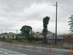 a0057057_9264584.png