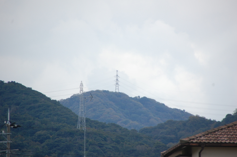 c0108460_17323727.jpg